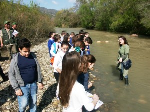 Fiumi Puliti Giacche Verdi Bronte