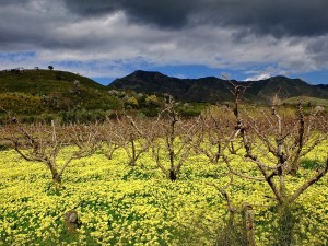 Giacche Verdi Bronte Riserva Biosfera UNESCO 6