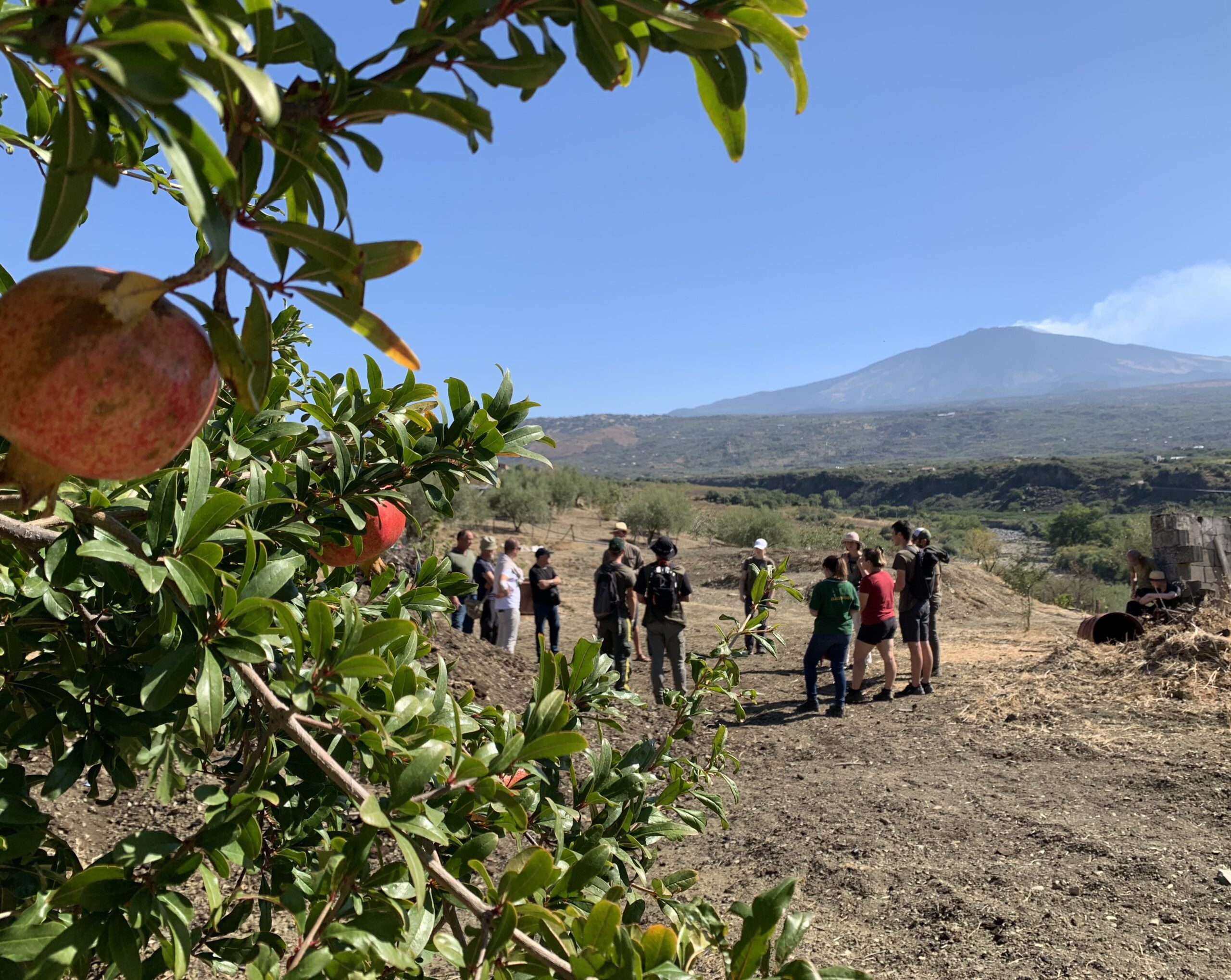 Agricoltura rigenerativa